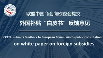 China-Europe Business Dialogue focuses on EU's foreign subsidies White Paper