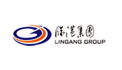 Shanghai Lingang Economic Development (Group) Co.,Ltd.