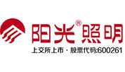 Zhejiang Yankon Group Co., Ltd. Subsidiary Energetic lighting Europe NV