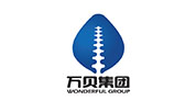 Wonderful Technology Development (TianJin) Group,Ltd.