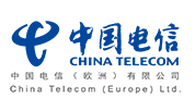 China Telecom Global Limited 