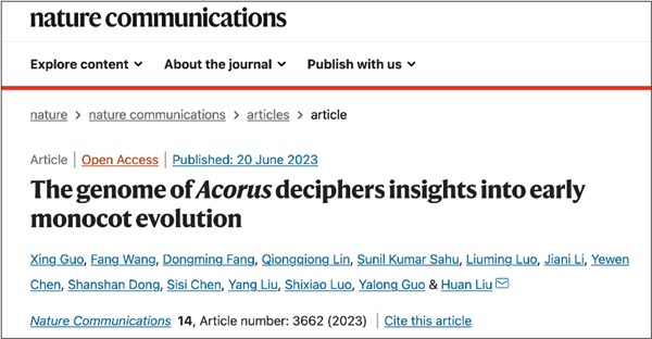 Decoding the Genome of Acorus Sheds Light on Early Monocot Evolution and Wetland Plant Adaptations1.png