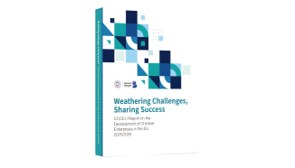 Trapped in a “Compliance Maze”: Chinese Firms in EU Face Dual Pressures of Politics and Soaring Costs
